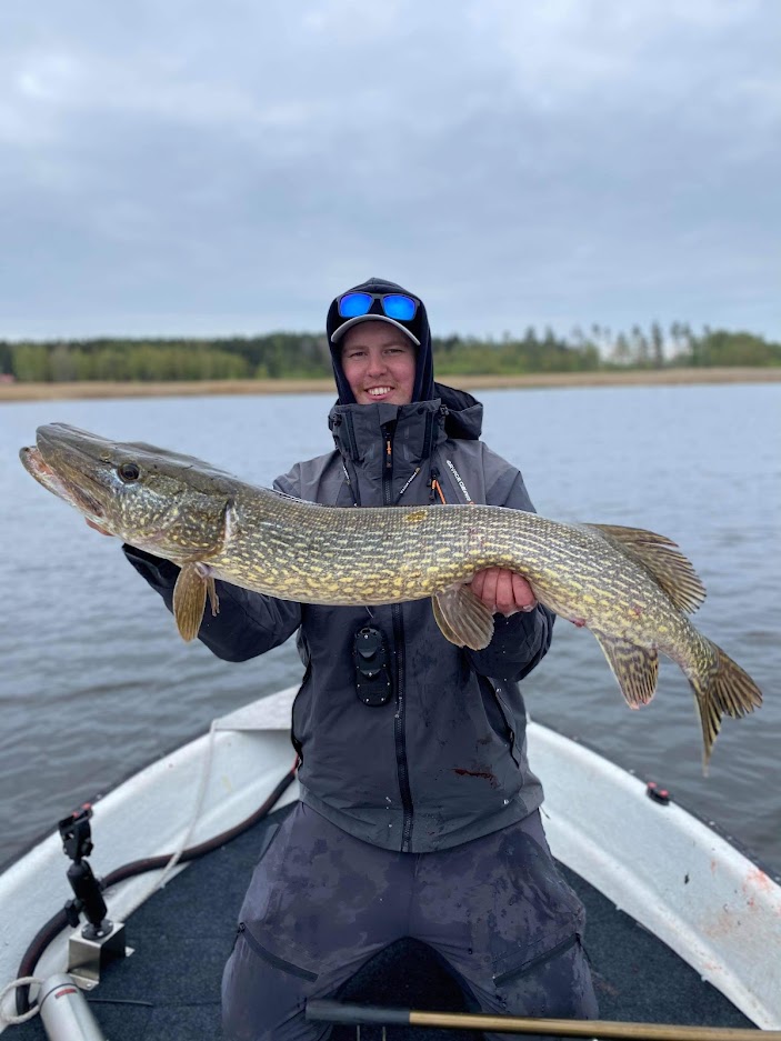 Pike